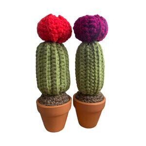 Crochet Barrel Cactus with Flower - Handmade - Set of 2